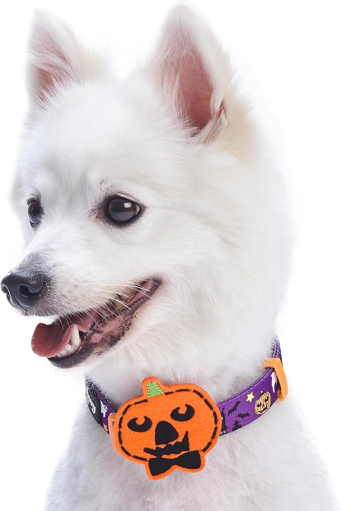 Blueberry Pet Halloween Darkness Deserted Castle Designer Adjustable Dog Collar with Decoration, Small, Neck 12"-16"