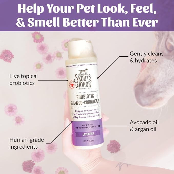 SKOUT'S HONOR Probiotic Dog Shampoo and Conditioner - Lavender, 16 oz | Hydrating, Natural 2-in-1 for Itchy Skin, Microbiome-Friendly with Avocado Oil & Omega-3s, Paraben & Sulfate-Free
