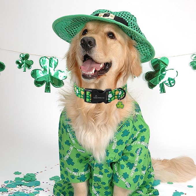 ARING PET St Patrick's Day Dog Collar-Cute Green Adjustable Shamrock Trefoil Pet Collars Puppy Collar Gifts with Quick Release Buckle for Girl&Boy Dogs-S