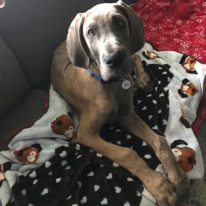 Snuggle Puppy Blanket for Pets - Cozy Dog Blanket for Small Dogs - Machine Washable Dog Blanket in Blue
