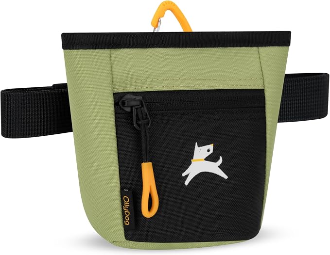 Goodie Treat Bag, Dog Treat Training Pouch | Magnetic Closure | 3 Ways to Wear | Hands-Free Waist Belt | Water-Resistant Recycled Vegan Fabric (Palm)