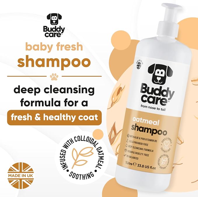 Buddycare Oatmeal Dog Shampoo for Smelly Dogs (33.8oz) - Hypoallergenic & Itch Relief Formula, Gentle on Sensitive Skin, Includes Dog Shampoo and Conditioner - Essential Dog Grooming Supplies