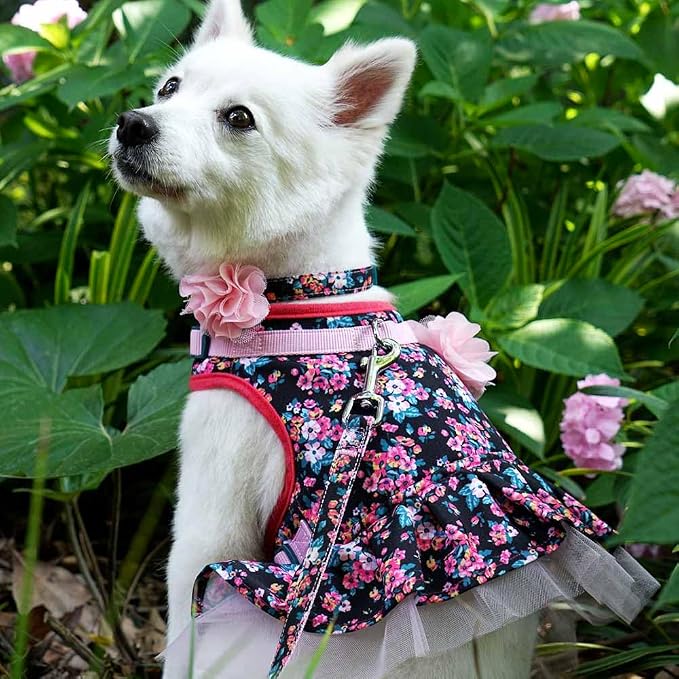 Blueberry Pet Made Well Elegant Floral Print Adjustable Dog Collar in Sleek Black with Pink Artificial Silk Flower, Medium, Neck 14.5"-20"