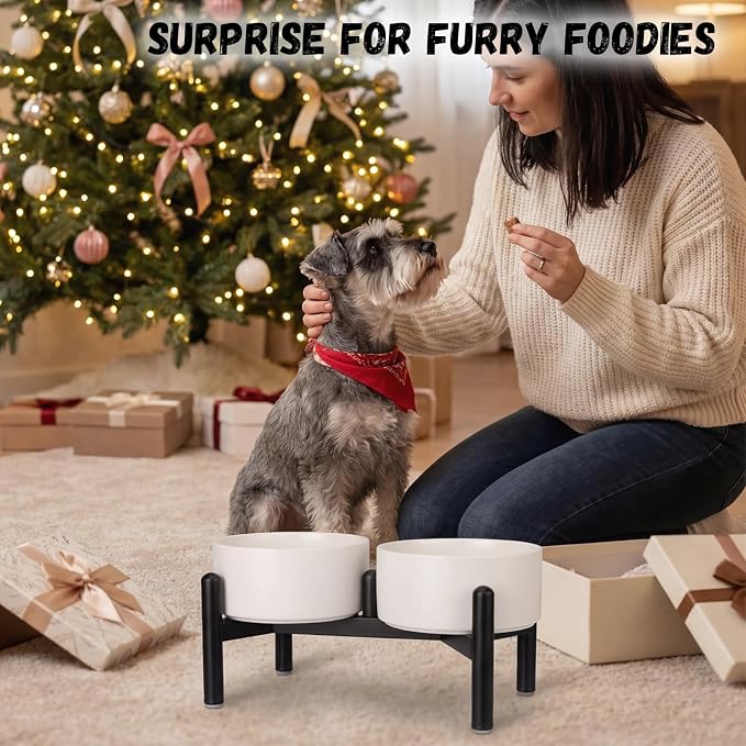 Raised Ceramic Dog Bowl Set with Stand, 3.5 Cups Elevated Dog Food Stand | 6.1'' Double Dog Food and Water Bowl Set, Non-Slip Dog Feeding Dishes for Small to Medium Breeds, 29.57 OZ, Green