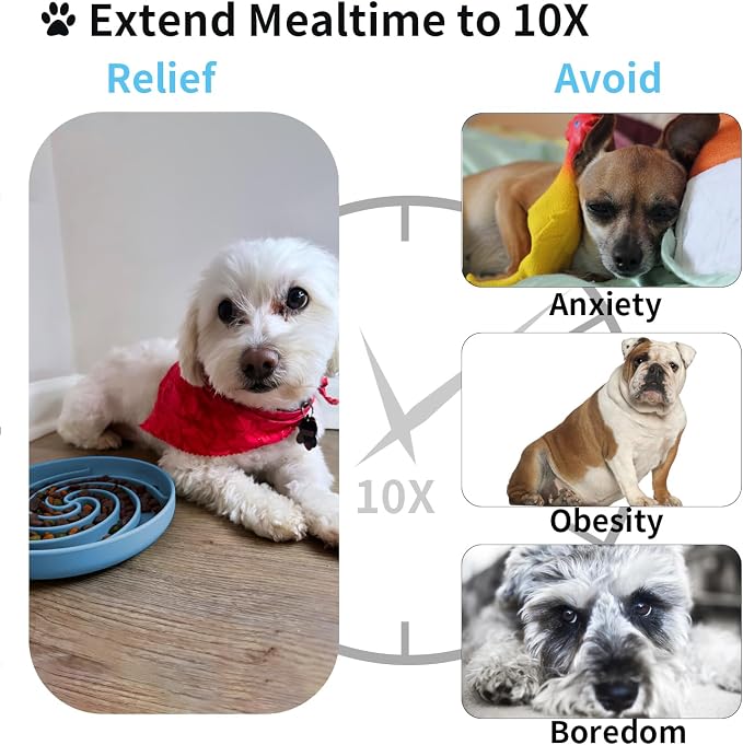 Bifeaw Slow Feeder Dog Bowls, Dishwasher Microwave Safe Silicone Puppy Puzzle Bowl with Non-Slip Design for Eating (Sky Blue)