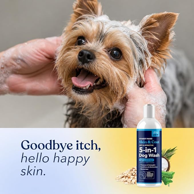 Dog Shampoo and Conditioner, Odor Control, Itchy Skin, Sensitive Skin | Itchy Skin Relief, Oatmeal Shampoo for Dogs, Anti-Itch for Allergies and Itching, Moisturizing Dry Skin, Natural