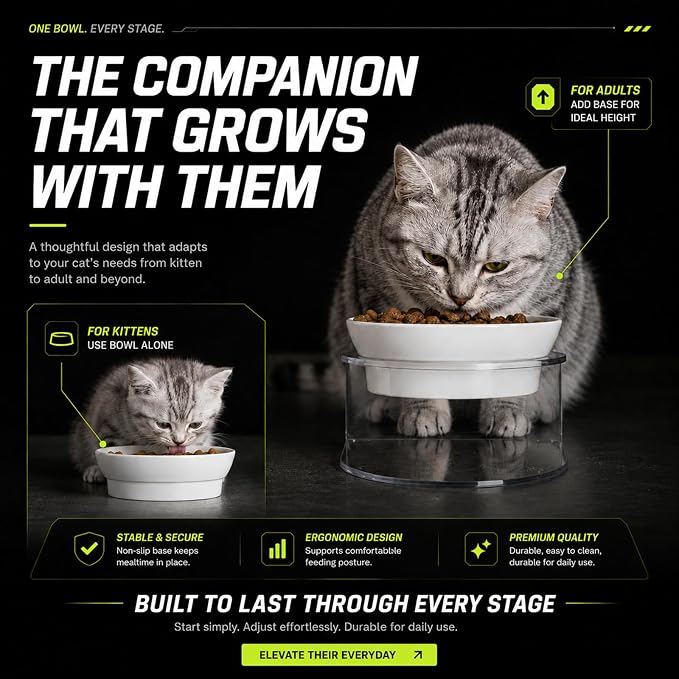 LivLab Mker Raised Cat Bowl, 15° Tilted, 4.5 in High, White | 15° tilted shallow melamine bowl on a 4.5 in raised stand supports comfortable feeding and reduces whisker contact.