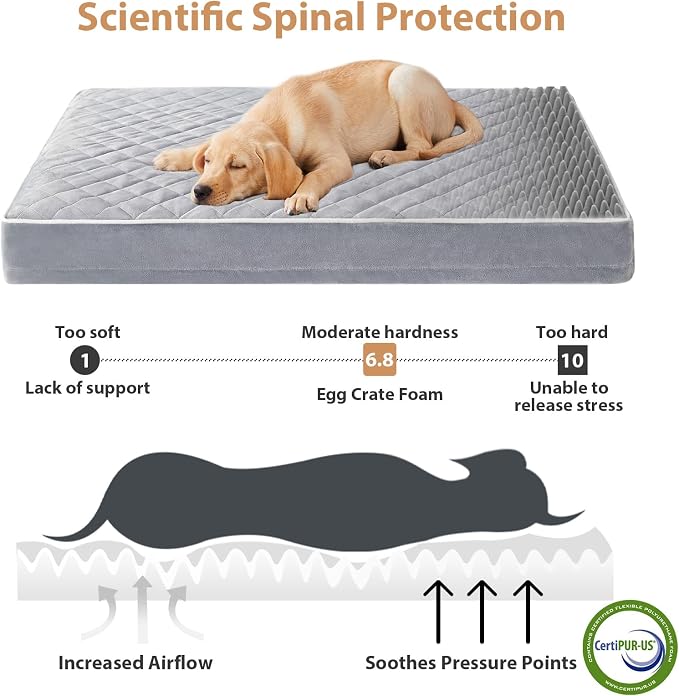 WNPETHOME Orthopedic Waterproof Large Dog Bed for Crate Cozy Sleep | Washable Large Pet Bed with Removable Cover, Multi-Needle Quilting Dogs Crate Beds Light Grey 35x22 Inch