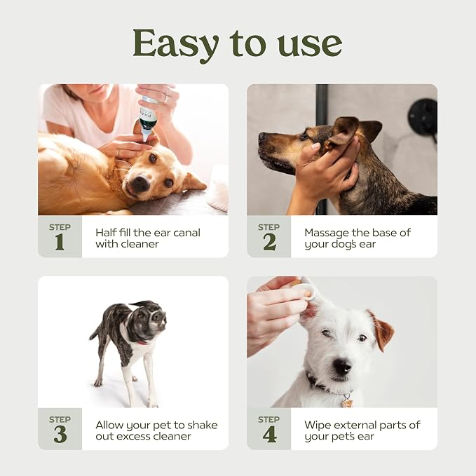 Pawfume Dog Ear Cleaner Solution, 2-Pack | Soothe itchy ears with St. John’s Wort & almond extracts, vet-certified, alcohol-free Dog Ear Wash for all breeds