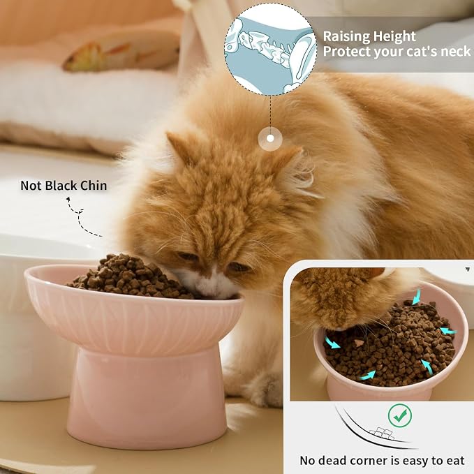 6.5 Inch Extra Wide Ceramic Raised Cat Bowls, Porcelain Tilted Elevated Cat Food Water Bowl Dish, Stress Free Pet Feeder Dishes for Cats & Small Dogs, Whisker Fatigue, White & Pink | Elevated Dishes, Prevent Neck, Whisker Fatigue, Anti Vomit, for Cats ...