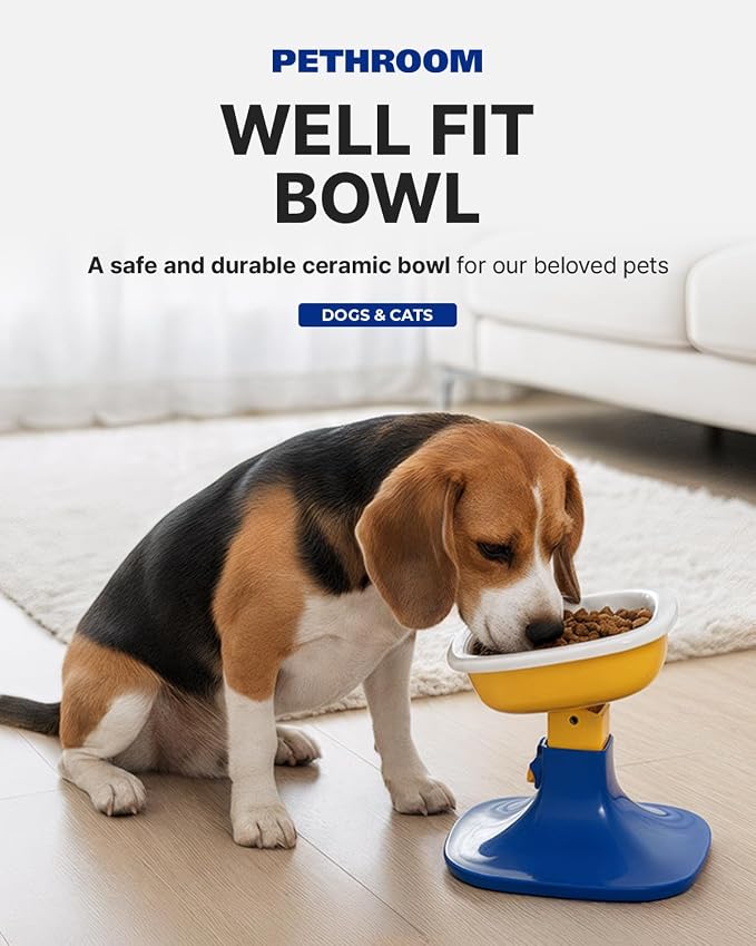 Well Fit Dog Bowl – Durable Ceramic Cat & Dog Food and Water Bowl, Stable & Non-Slip Silicone Base, Easy to Clean, 6.2 × 6.2 × 2.0 in, Green | Non-Slip Silicone Base, Easy to Clean, 6.2 × 6.2 × 2.0 in, Green
