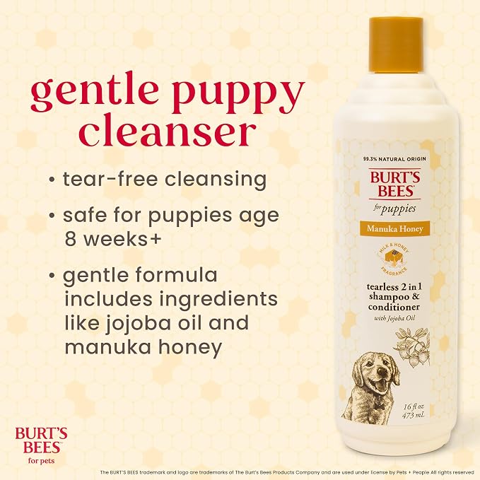 Burts Bees for Pets Manuka Honey 2-in-1 Shampoo and Conditioner, 16 Fl Oz | Jojoba oil formula, 2-in-1 shampoo and conditioner, 95% natural origin, sulfate-free