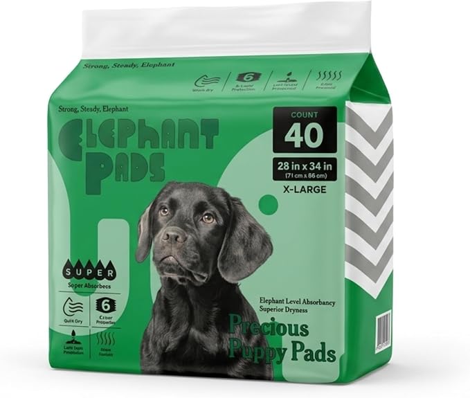 Quick-Drying & Super Absorbent Precious Puppy Pads, Leak-Proof & Unscented White Dog Pee Pads | Premium Potty Training Pads for Dogs (1, X-Large)