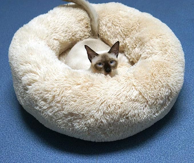 Modern Soft Plush Round Pet Bed for Cats or Small Dogs, Mini Medium Sized Dog Cat Bed Self Warming Autumn Winter Indoor Snooze Sleeping Cozy Kitty Teddy Kennel (24'' D x 8'' H, Champagne)