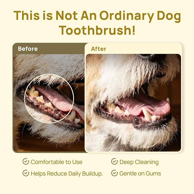 HICC PET Toothbrush for Dogs & Large Cats, Ergonomic Pet Toothbrush for Easy Teeth Cleaning,Gentle on Gums, Cat & Dog Oral Care – Toothpaste Not Included