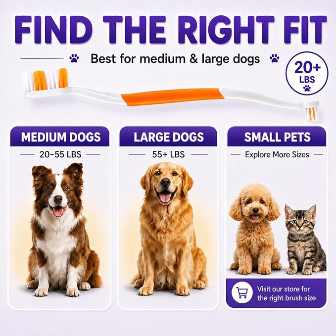 Dog Toothbrush, Dual-Head, for Medium-Large Dogs, Orange | Soft Bristles for Gentle Cleaning, 60° Curved Bristles for Better Coverage, Comfortable for Sensitive Gums
