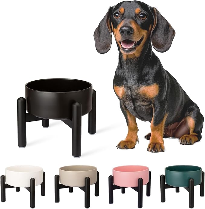 Raised Ceramic Dog Bowl, 6.1'' Modern Feeding Bowl with Non-Slip Stainless Steel Stand, Elevated Food or Water Dish for Small to Medium Dogs, 2 Cups (28.75 fl oz)- Black