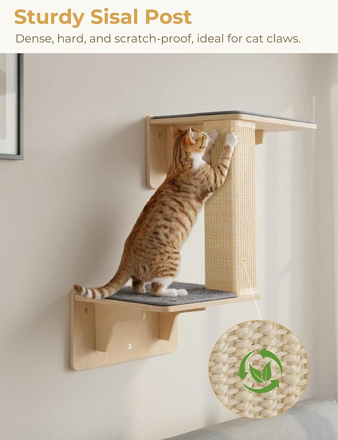 Pecute Double Cat Shelves with Scratching Post for Wall & Window | Solid Wood Frame, Strong Suction Cups, Washable Cover Mat, Cats Perch Bed for Birds Watching Inside, Indoor Cat Hammock Bed