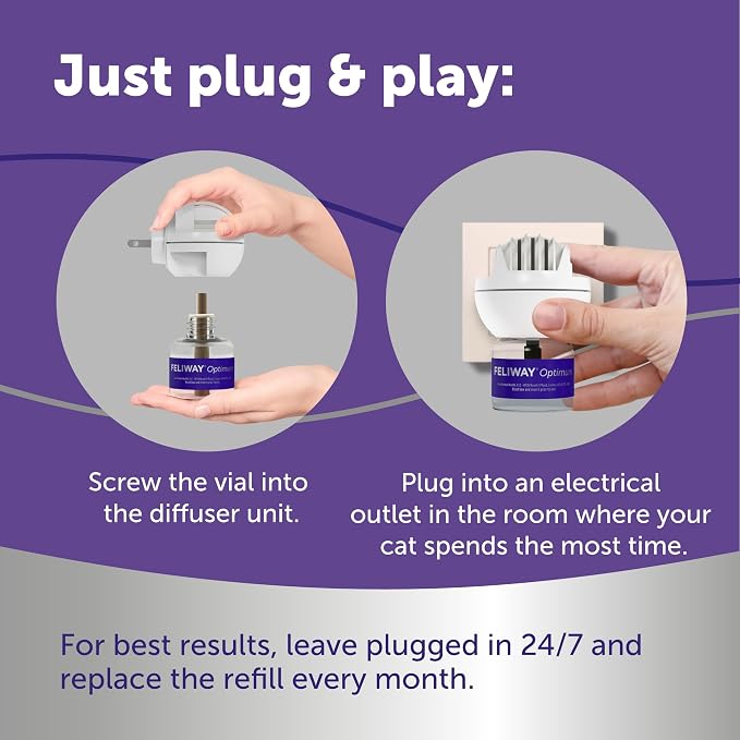 FELIWAY Optimum 30 Day Cat Calming Refills for Pheromone Diffuser,48ml Value Pack - Helps Reduce Common Signs of Stress in Cats & Kittens,Enhanced Calming,(Pack of 12)
