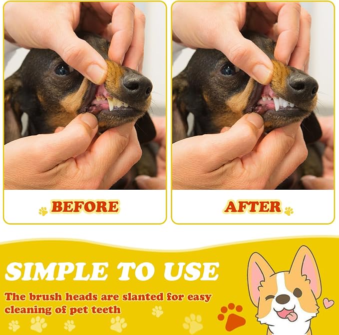 Nuenen 150 Count Dog Toothbrush Dual Headed Dental Brushes Puppy Tooth Brushing Kit Long Handle Toothbrush for Large and Small Dogs Cats Most Pets Teeth Cleaning Oral Care Supplies (Vibrant Color)