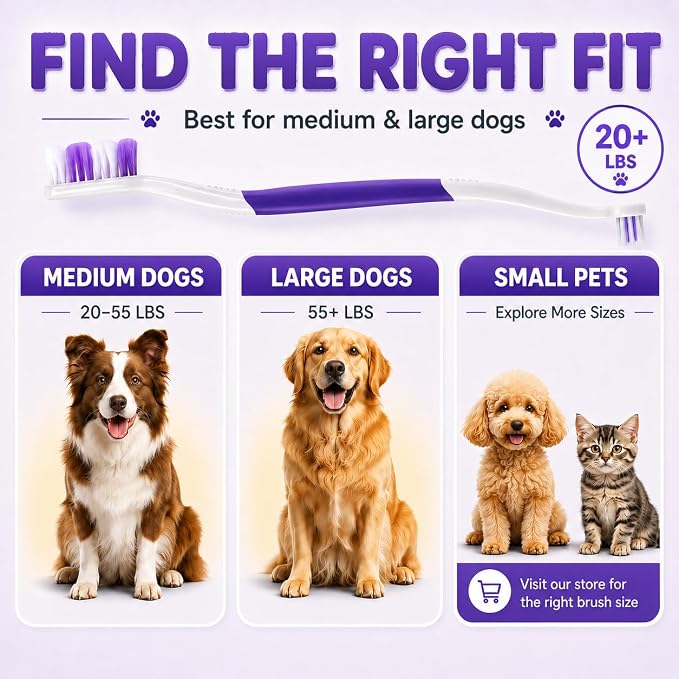 Dog Toothbrush, Dual-Head, for Medium Large Dogs, Purple | Soft Bristles for Gentle Cleaning ,60° Curved Bristles for Better Coverage ,Comfortable for Sensitive Gums
