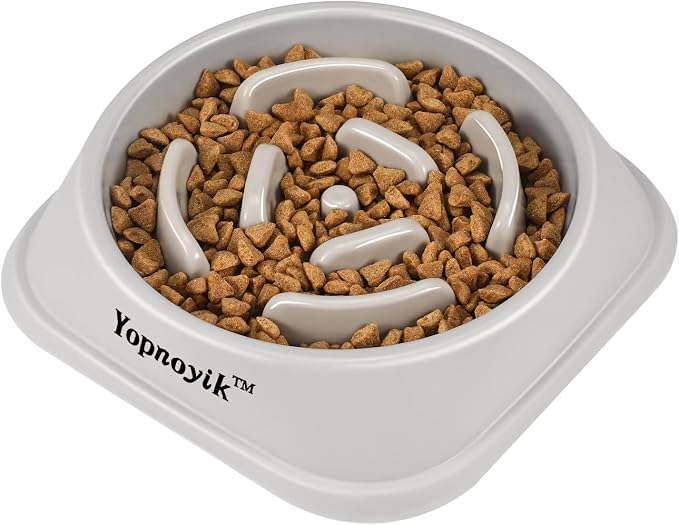 Slow Feeder Dog Bowls for Healthy Eating, Non-Slip and Anti-Choking Design, Reduces Bloating & Overeating for Medium Dogs and Cats, Easy to Clean