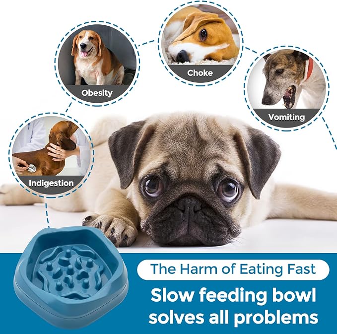 VANNON Slow Feeder Dog Bowls Non Slip Puppy Bowl Durable Dog Puzzle Feeder Bloat Stop Food Bowls for Puppy and Small Dogs, BPA Free, 2 Cups, Blue