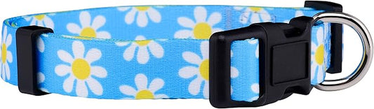 Native Pup Flower Dog Collar, Adjustable Small Medium Large, Cute Girl Female Summer Spring Pretty Designer Puppy Essentials Accessories, Pink Floral Blue Daisy Rose (Small, Blue Daisy)