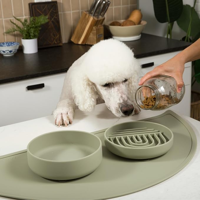 Should We Go? Slow Feeder for Dogs & Puppies, The Slowdown Bowl Silicone Slow Eating, Modern Lick Mat Design, Reduces Gulping, Fits 2 Cups, 7.5” Across x 1.5” Tall, Mealtime Challenge, Medium-Sage