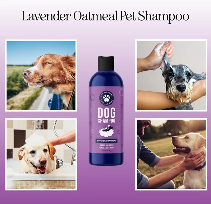 Moisturizing Oatmeal Dog Shampoo for Dry Skin - Calming Lavender Dog Shampoo with Aloe Colloidal Oatmeal and Jojoba Oil for Clean Coat & Skin Relief - Sulfate Paraben Phthalate & Dye Free (8 Fl Oz)