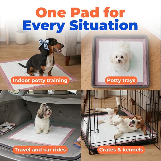 Best Pet Supplies Puppy Pads (22.5 x 22 Inches) - Disposable, Dog Training Potty, Super Absorbent Baby Pink Puppy Pee Pads for Dogs (300 Count)