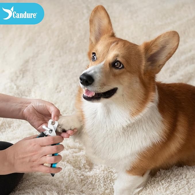 Candure Dog Nail Clippers and Trimmer with Safety Guard to Avoid Over-Cutting Toe Nails, Professional Grooming Pet Nail Clipper with Nail File for Small, Medium & Large Breeds | Pet Dog and Cat Nail Clipper