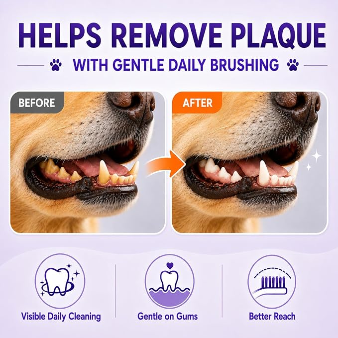 Dog Toothbrush, Dual-Head, for Medium-Large Dogs, Orange | Soft Bristles for Gentle Cleaning, 60° Curved Bristles for Better Coverage, Comfortable for Sensitive Gums