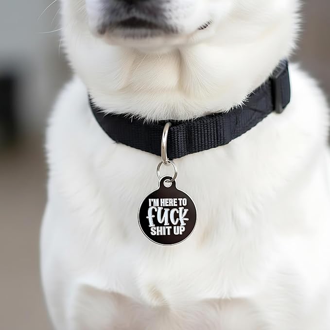 Bad Tags Personalized Dog and Cat ID Tags in 25+ Designs and 2 Sizes - 5 Lines of Custom Engraved Text - Funny Cute Personalized Pet Tags (I'm Here to F*ck Sh*t Up, Large (1.25 inch))