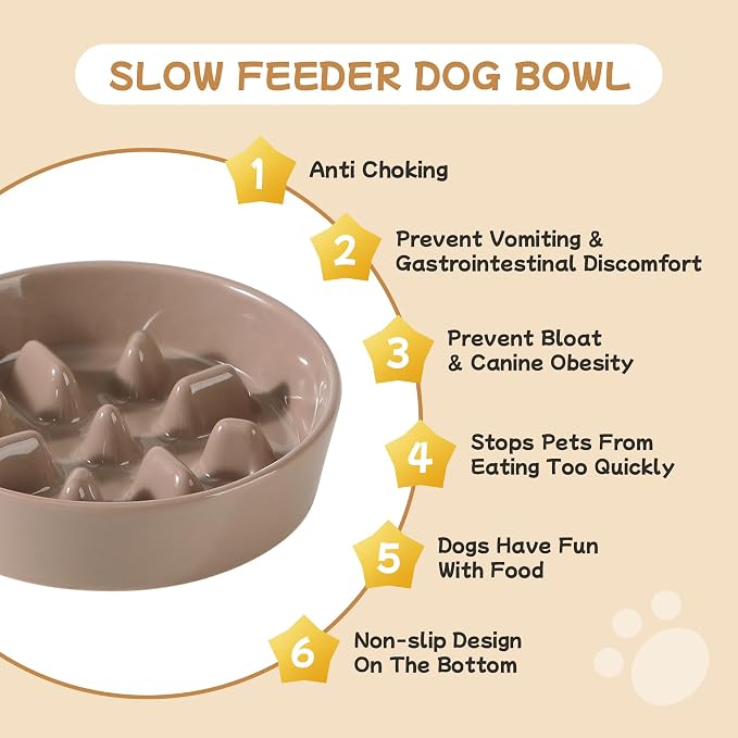 Havniva 6.1” Raised Slow Feeder Dog Bowls Set, 0.9 Cups Ceramic Slow Feeder Dog Bowl and 6.1” Dog Water Bowl with Elevated Wooden Stand Puzzle Dog Food Bowl for Small Dogs Anti-Gulping & Anti-Choking