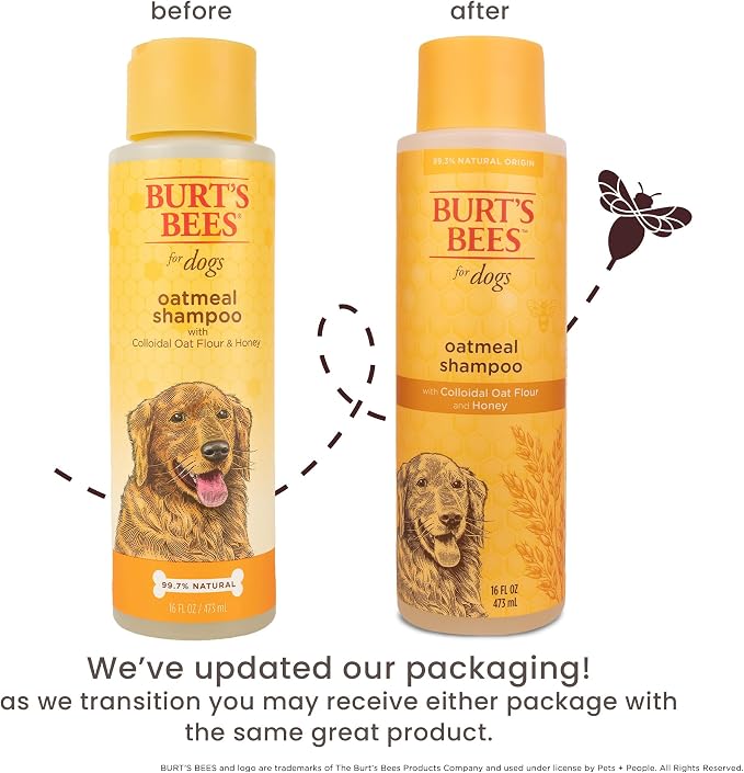 Burts Bees for Pets Oatmeal Dog Shampoo with Honey, 16 Fl Oz, 6-Pack | Soothing colloidal oat flour formula for itchy, sensitive dog skin, pH-balanced and sulfate-free for regular use