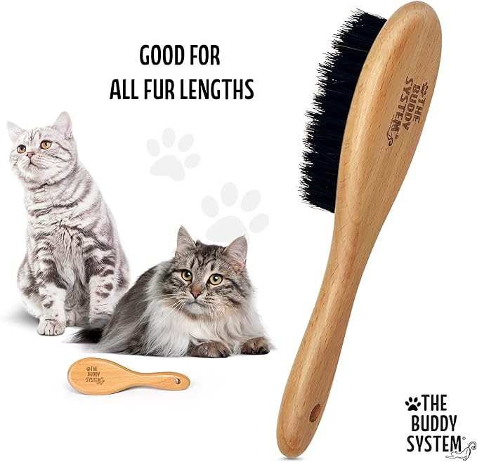 The Buddy System - Soft Cat Brush with Boar Bristles, 1 Pack | Cat brush with wooden handle, daily grooming pet brush, reduce shedding and gives coat a healthy shine - boar bristles