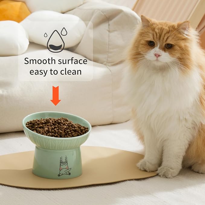 6.5 Inch Tilted Elevated Cat Bowls, Ceramic Extra Wide Raised Cat Bowl Set | Prevent Neck, Whisker Fatigue, Anti Vomit, for Cats Puppies, Dishwasher Microwave Safe, White & Green
