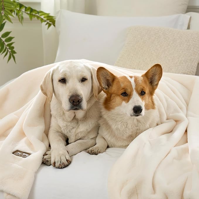 COZY KISS Luxury Faux Fur Throw Blanket for Couch, Ultra Soft Waterproof Pet Blanket, Cozy Warm Plush Blanket for Sofa Bedroom Living Room, Liquid Pee Proof for Large Dog or Cat, 50x60 inch, Cream