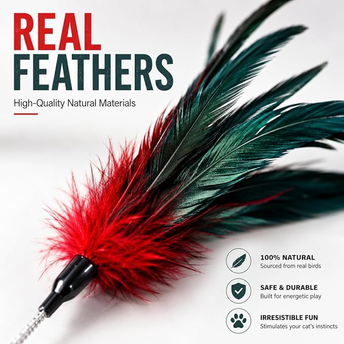 Cat Feather Wand Toy Set – 5 Different Feather Styles in One Pack – Interactive Wand Toys for Indoor Cats and Kittens – Durable Spring Design for Engaging Playtime