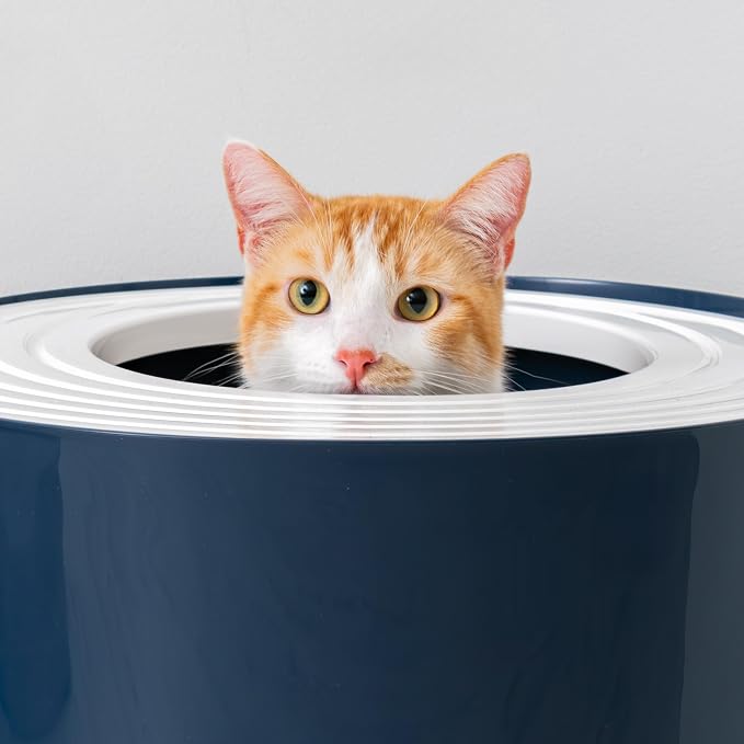 IRIS USA Large Cat Litter Box with Lid, Top Entry Design, Covered Enclosure, Dog Proof, Litter Scatter Control, Odor Reducing, Includes Scoop for Indoor Cats & Kittens, Navy/White, Made in the USA