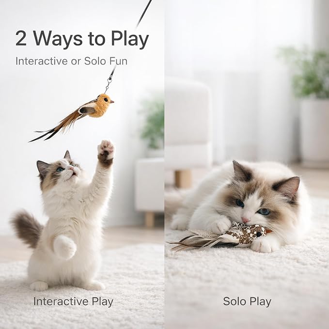 11PCS Realistic Bird Cat Toy Refills – Handmade Feather Cat Toys with Bell, Clip-on Cat Wand Attachments – Interactive Cat Toys for Indoor Cats, Refill Set for Wand Toy or Cute Home Décor