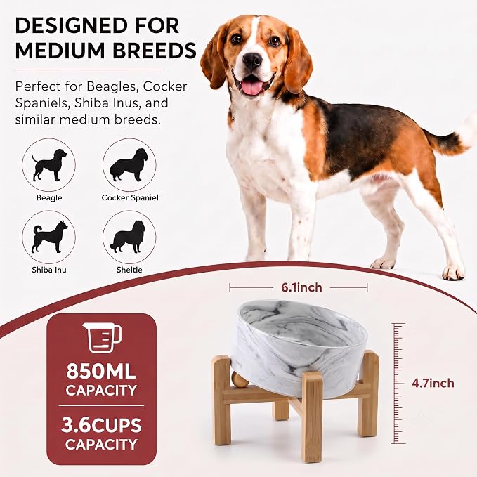 hjn Elevated Ceramic Dog Bowl 15°Slanted Raised Dog Bowl with Bamboo Stand for Small Medium Dogs and Cats, Pet Feeder -3.6-Cup (850ml)-Marble Gray