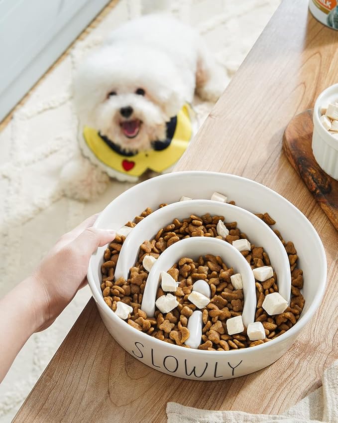 LE TAUCI PET Ceramic Slow Feeder Dog Bowls Elevated, 3 Cups Raised Dog Bowl with Wooden Stand for Medium Large Breed to Slow Down Eating, Puzzle Food Bowl,White