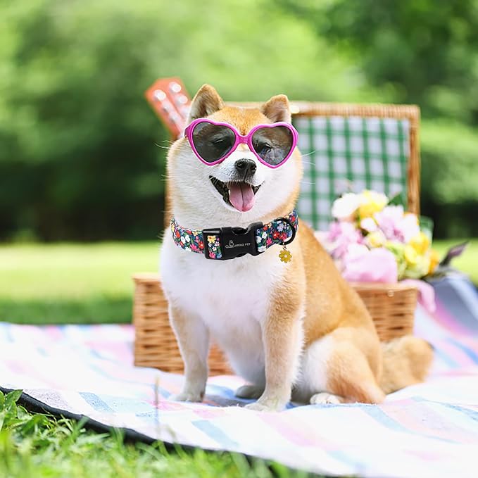 ARING PET Girl Dog Collar, Cute Spring Summer Floral Puppy Pet Collars for Small Medium Large Dogs-XS