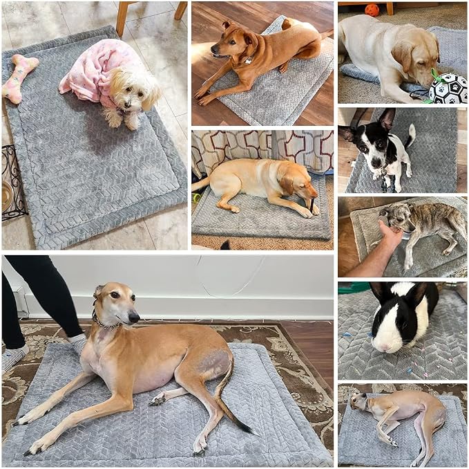 BEAUTYZOO Dog Crate Pad Washable Ultra Soft Pet Kennel Mat Medium, 30" Gray | Ultra Soft Crate Pad,Anti-Slip Bottom,Waterproof Lining Protects Floors & Furniture,Comfortable Cozy Mats for Cage Car Travel