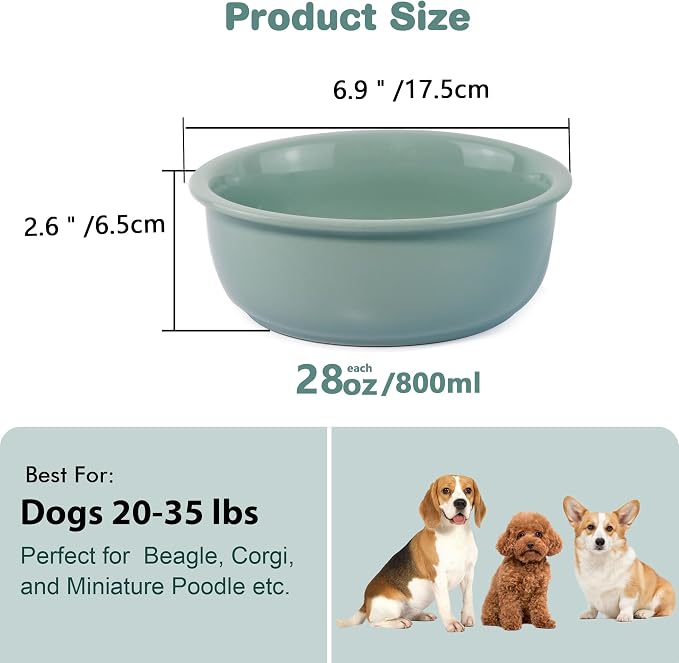 Ceramic Replacement Dog Bowl for Wordcam SS02 Model, 6.9"X2.6", Light Green | Food and Water Bowl Set, for Small Medium Cats, Pet Feeding Dishes for Dogs 20-35lbs, Thicker Ceramic, Anti-Skid, 28Oz/800ML