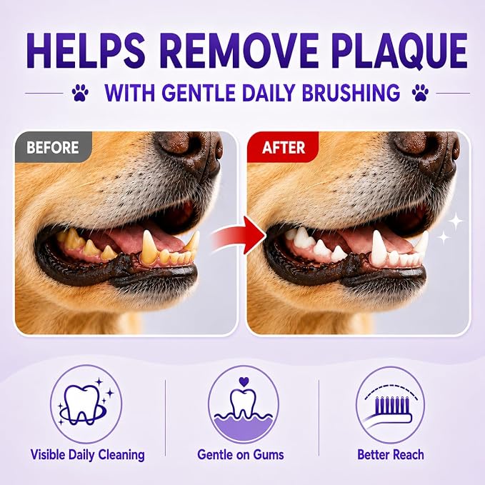 Dog Toothbrush, Dual-Head, for Medium-Large Dogs, Red | Soft Bristles for Gentle Cleaning, 60° Curved Bristles for Better Coverage, Comfortable for Sensitive Gums
