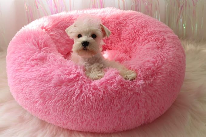 Modern Soft Plush Round Pet Bed for Cats or Small Dogs, Mini Medium Sized Dog Cat Bed Self Warming Autumn Winter Indoor Snooze Sleeping Cozy Kitty Teddy Kennel (24'' D x 8'' H, Hot Pink)