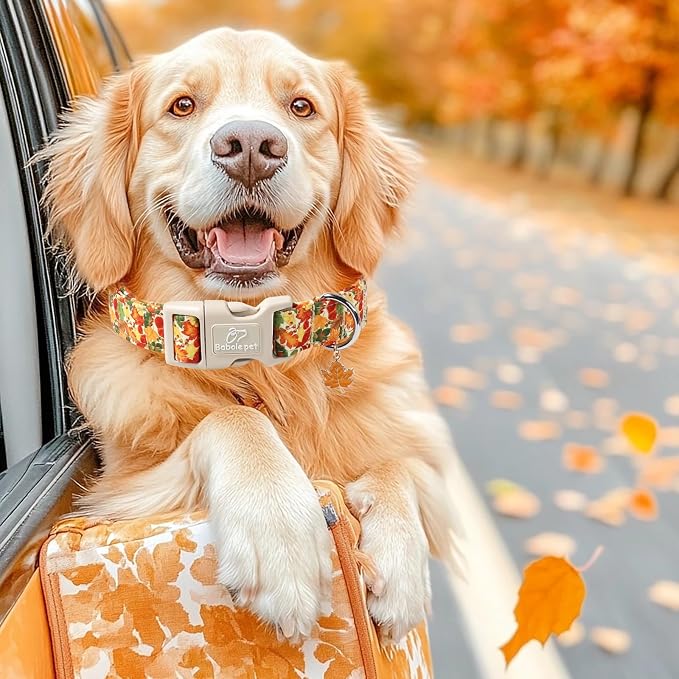 Fall Dog Collar Cute Autumn Leaves Puppy Collar - Light Comfortable Adjustable Pet Collars for Small Medium Large Girl Boy Dogs XL